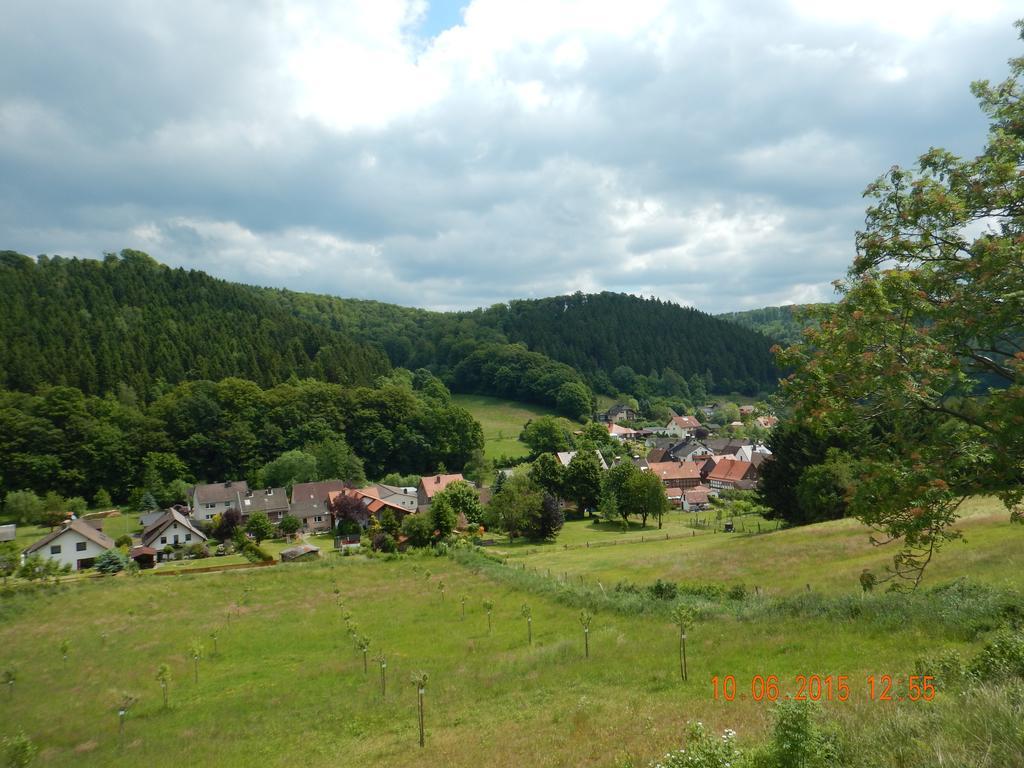 Gasthaus Koehlerhof Delliehausen Екстериор снимка